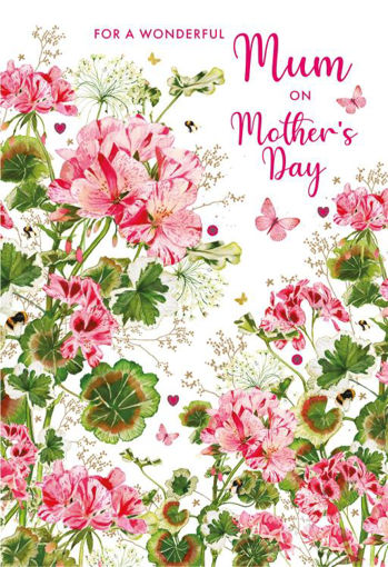 Picture of FOR A WONDERFUL MUM ON MOTHERS DAY